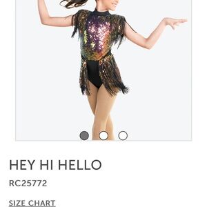 Multicolor Sequin Fringe Dance Leotard